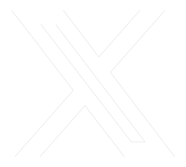 X Icon